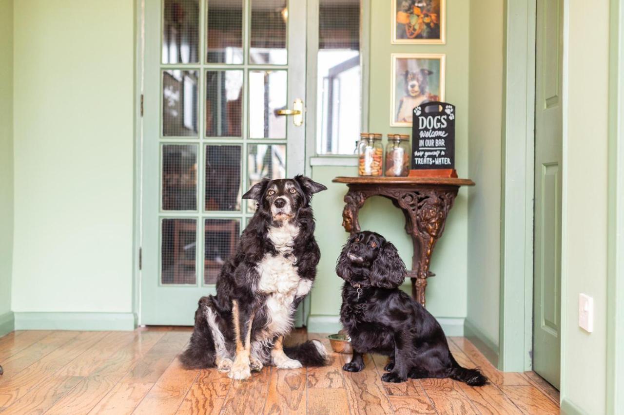 Bed and Breakfast The Fromeway à Radstock Extérieur photo